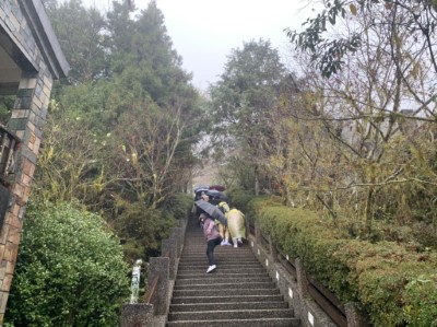 太平山國家森林遊樂區有雨勢  水氣足2